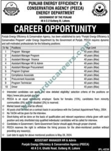 PEECA Jobs 2024 Punjab Govt